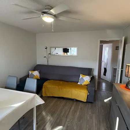 Apartment Confortable T2 Au Cap D'agde Avec Wifi Et Parking, Animaux Acceptes - Fr-1-749-103