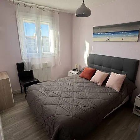 Confortable T2 Au Cap D'agde Avec Wifi Et Parking, Animaux Acceptes - Fr-1-749-103 Apartment